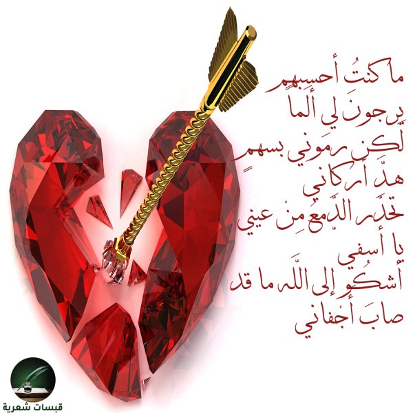 ٢٠٢٤٠٢١٨_٠١٣٥١٨.jpg