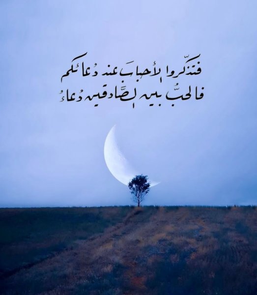 ٢٠٢٤٠٣٣٠_٢٢٠٩٥٣.jpg