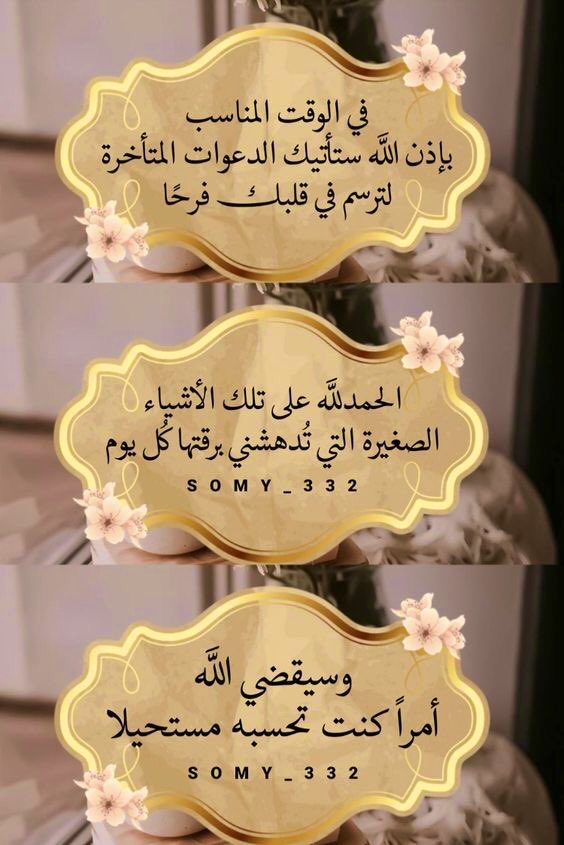 ٢٠٢٤٠٥١٥_٠٥٠٠٥٩.jpg