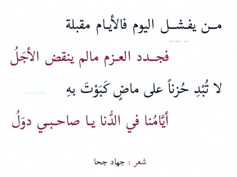٢٠٢٤٠٧١٥_٠٠٤٩٥١.jpg