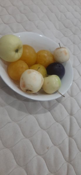 ٢٠٢٦٠٧٠٩_٠١٥٣٤٠.jpg