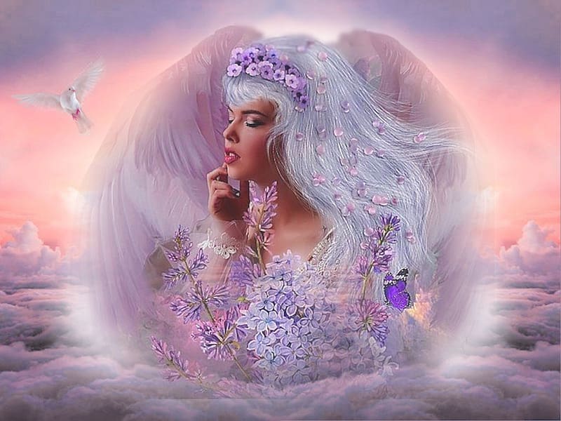 127204.hd-wallpaper-peaceful-pastel-praying-angel1-wings-.jpg