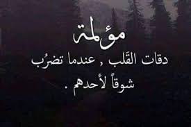 1713568059754.png
