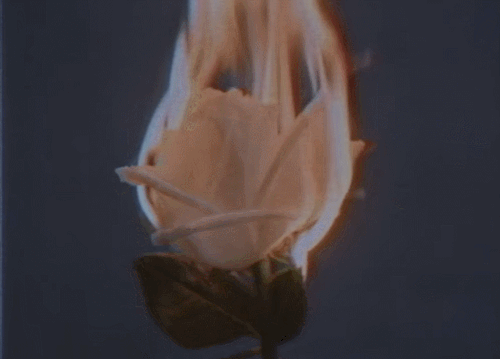 1719545505214.png