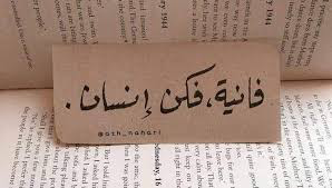1723392699230.png