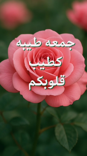1777619103734.png