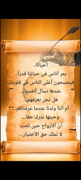 1780194557506.png