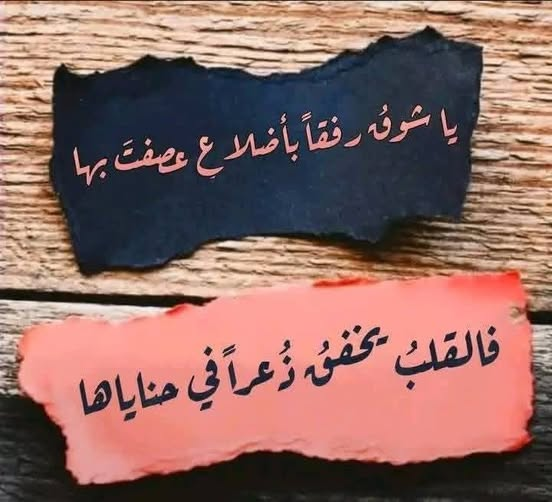 1780291078397.png