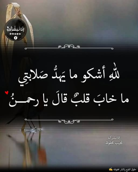 1780810279611.png
