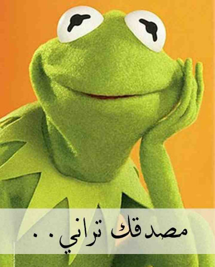 1780837965380.png