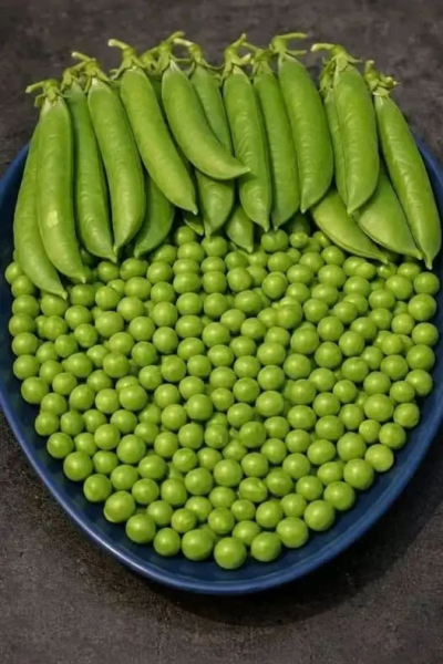 1780900037042.png