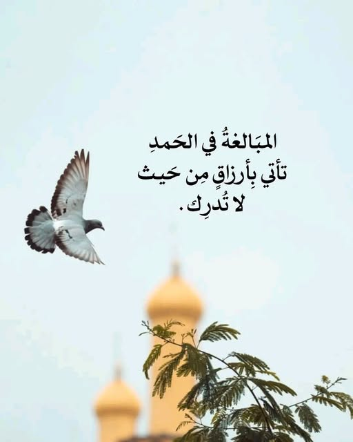 1784437116667.png