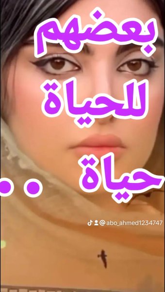 3b244e318b83b662b21d2b3f84e5cb6a_0.jpeg