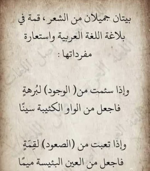 3FA3CB75-90C3-46B3-B84E-2EC3D1EDFA10.jpeg