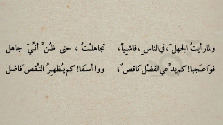 41e73ca2afb3a1edad61eb32619d41ac.jpg