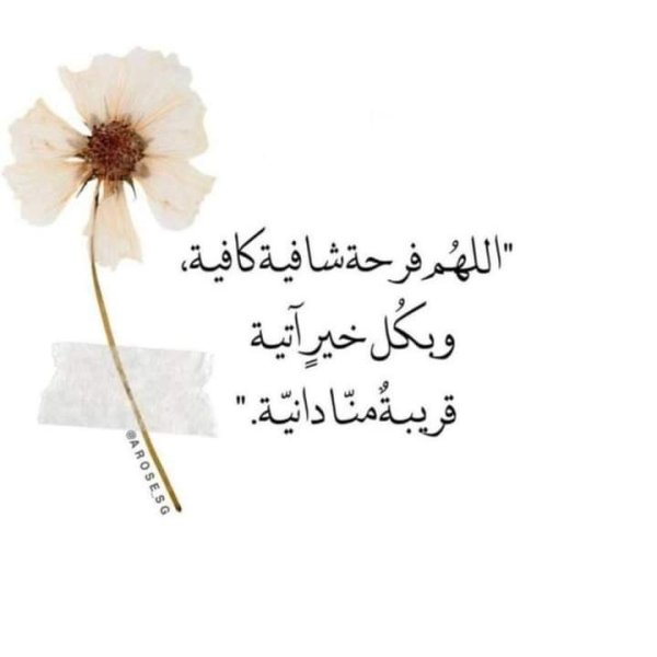FB_IMG_1706625714875.jpg