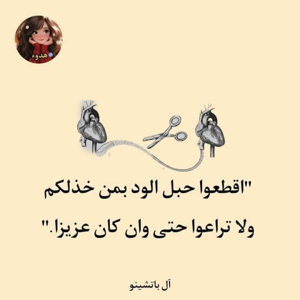 FB_IMG_1707748852112.jpg