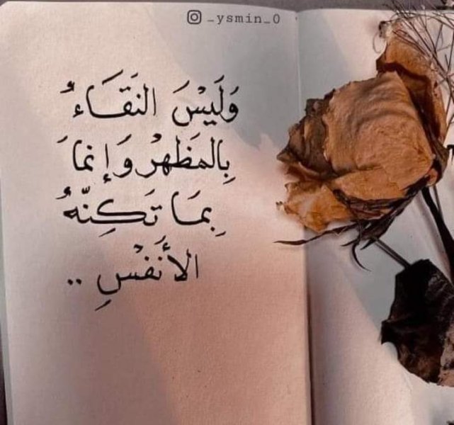FB_IMG_1710274740650.jpg