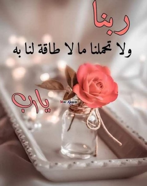 FB_IMG_1710293252684.jpg
