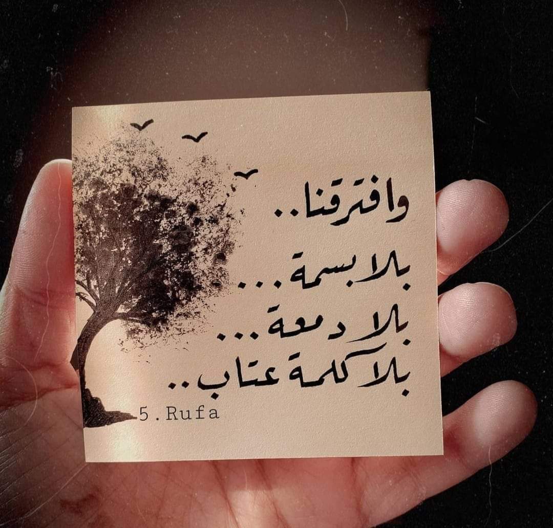 FB_IMG_1715520846897.jpg