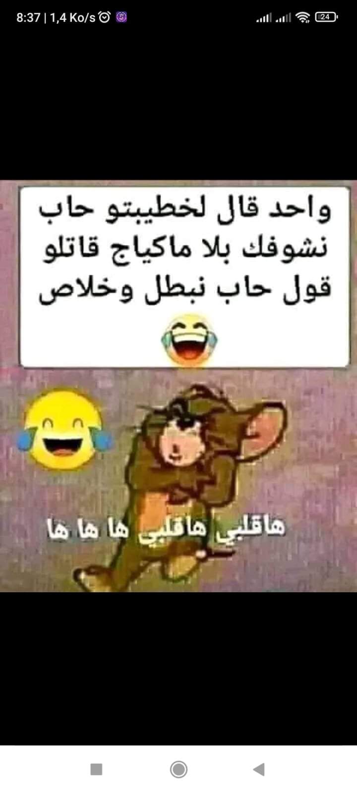 FB_IMG_1718261803431.jpg