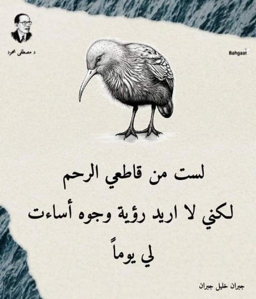 FB_IMG_1720583137270.jpg
