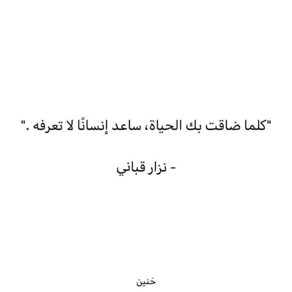FB_IMG_1723149704703.jpg
