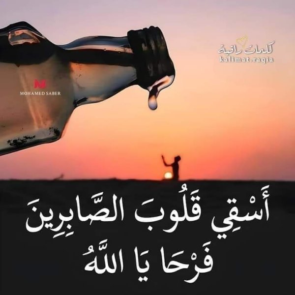 FB_IMG_1727518635521.jpg