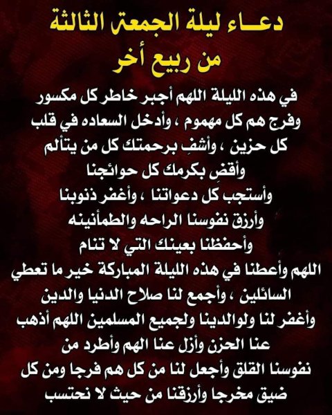 FB_IMG_1729191919529.jpg