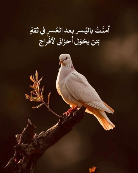 FB_IMG_1774898474980.jpg