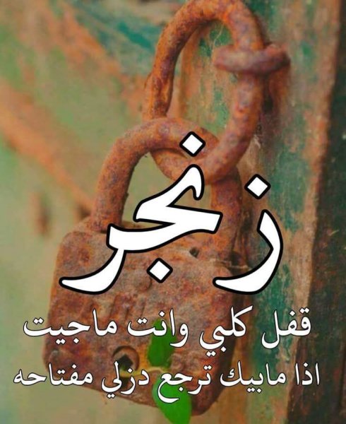 FB_IMG_1779807666328.jpg
