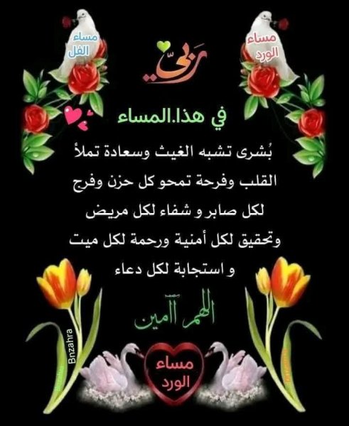 FB_IMG_1781174312652.jpg