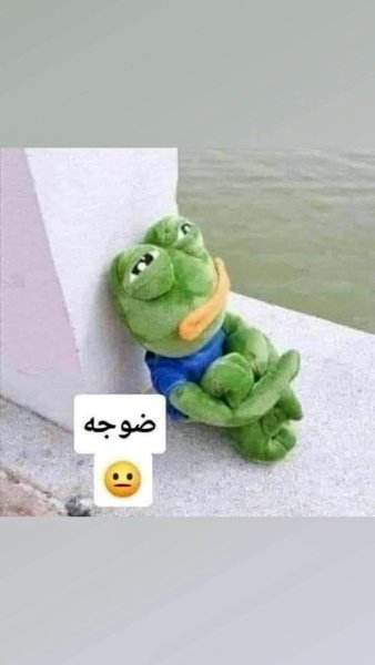 FB_IMG_1785616118153.jpg