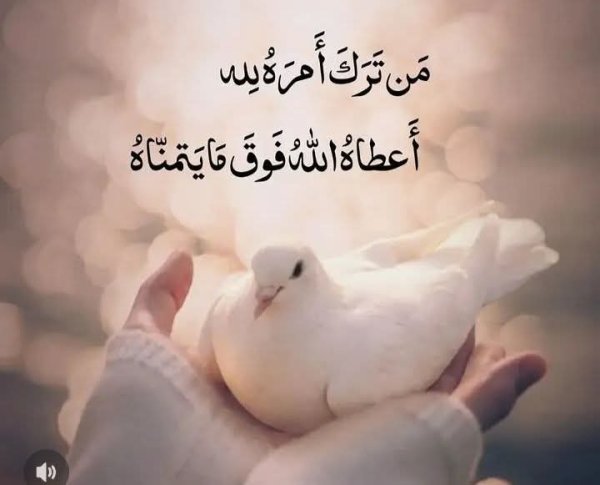 FB_IMG_1786622565002.jpg