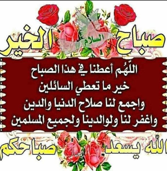 IMG-20240411-WA0000.jpg