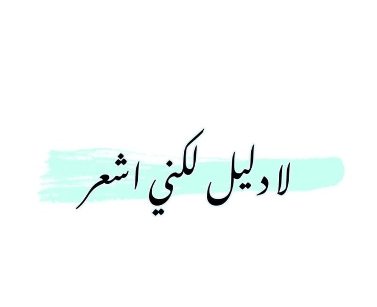 IMG_٢٠٢٤٠١٢٩_١٨٤٣٣٣.jpg