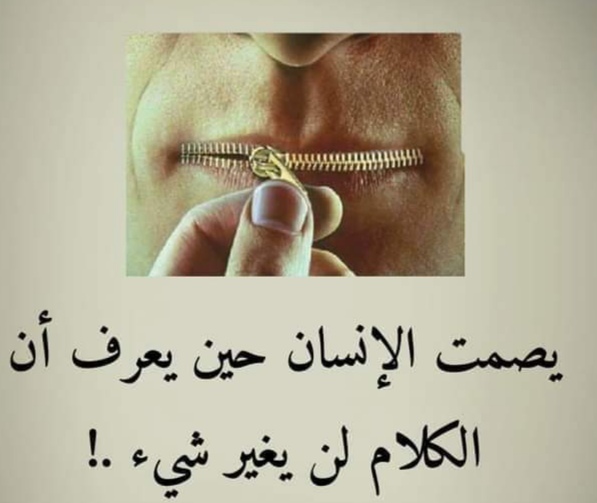 IMG_٢٠٢٤٠٨٢٧_٢١٤١٤٣.jpg