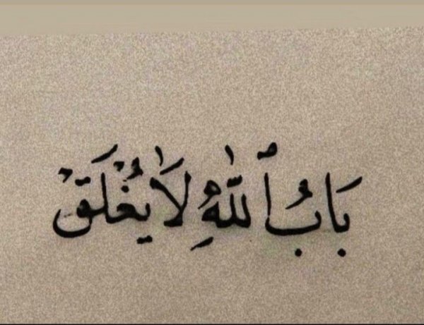 IMG_٢٠٢٦٠٤٣٠_١٠٠٨٠٣.jpg