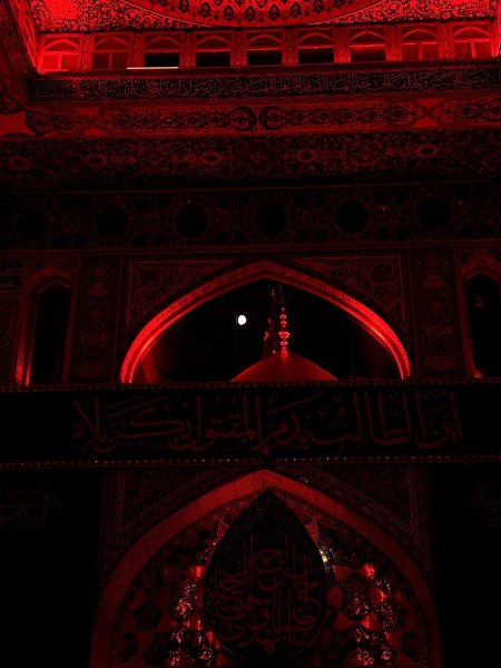 IMG_20240725_123400_150.jpg