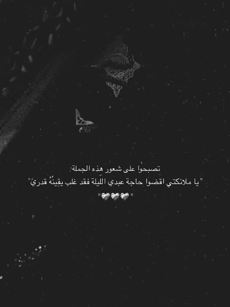 IMG_2676.jpeg