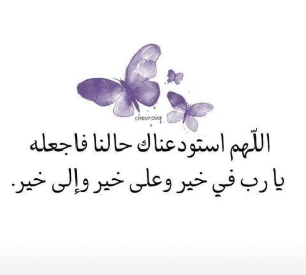 IMG_3270.jpeg