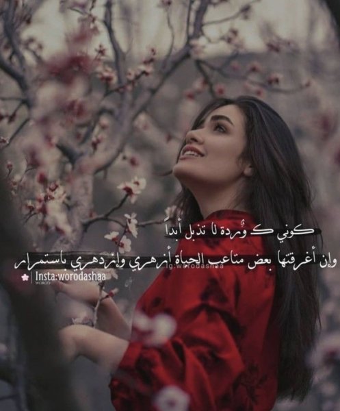 IMG_4193.jpeg