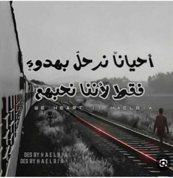 Screenshot_٢٠٢٣٠٦١٩-٢١٤١٤٥_Google.jpg