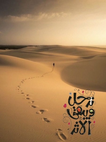 Screenshot_٢٠٢٤٠١٢٤-٠١١١٣٥_X.jpg
