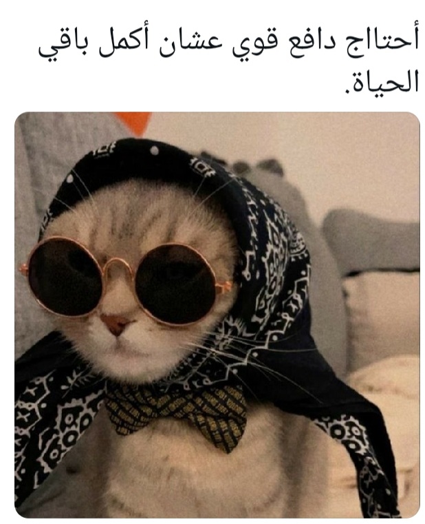 Screenshot_٢٠٢٤٠٦٢٣-١٩١٧٣٣_X.jpg