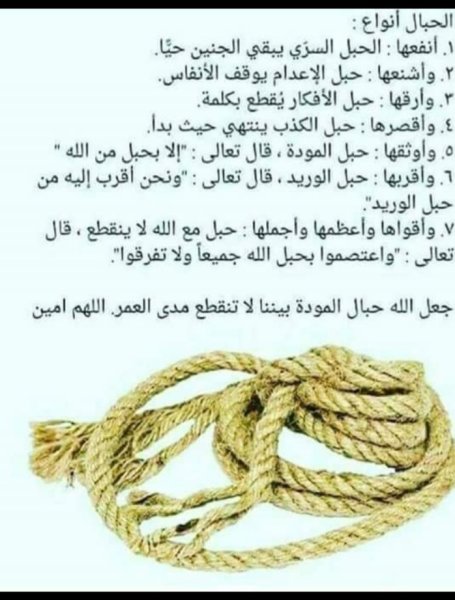 Screenshot_٢٠٢٤٠٨٢٦-١٠٥٣٤٨_WhatsApp.jpg