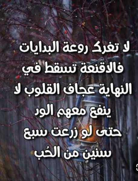 Screenshot_٢٠٢٦٠٤٠٨_٠٧٤٢٤٤_Google.jpg