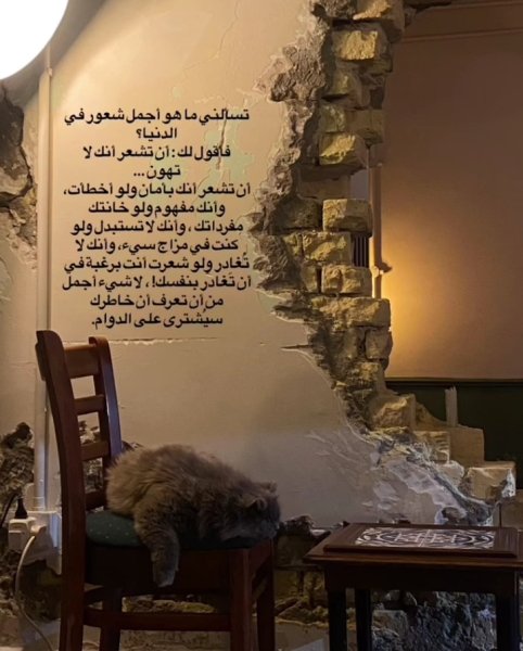 Screenshot_٢٠٢٦٠٥٢٢-٢٣٠١٥٢_Instagram.jpg