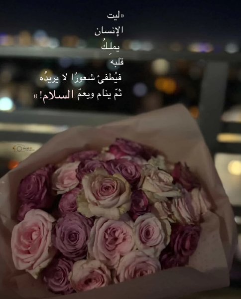 Screenshot_٢٠٢٦٠٦١٦-٢٣٠٢٥٣_Instagram.jpg