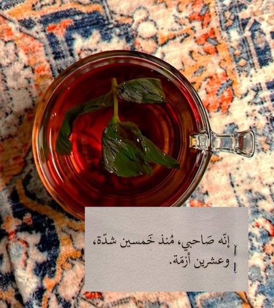 Screenshot_٢٠٢٦٠٦١٨-٠١١٢٥٥_Instagram.jpg